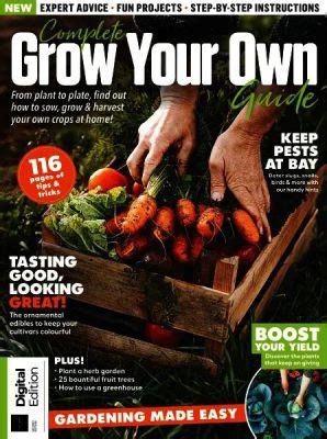  How to Grow Vegetables - A Symphony of Green and Culinary Delight